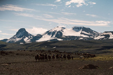 Iceland-Highland Tours-Pearls of the North